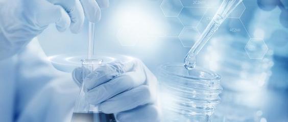 佰仁醫療 人工瓣膜研發領域的“匠人”精神與生物產品創新