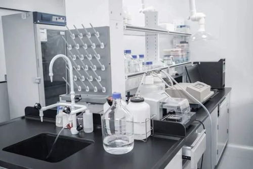 持續(xù)突破，精準(zhǔn)制導(dǎo) 詩(shī)健生物的創(chuàng)新之旅與ADC藥物研發(fā)新篇