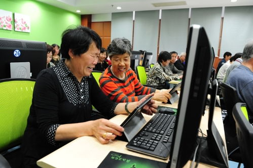 聚焦五大功能，賈煒為上海學(xué)習(xí)型城市建設(shè)注入高質(zhì)量教育咨詢(xún)服務(wù)新動(dòng)能